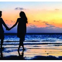 Портфолио Dylan Taylor